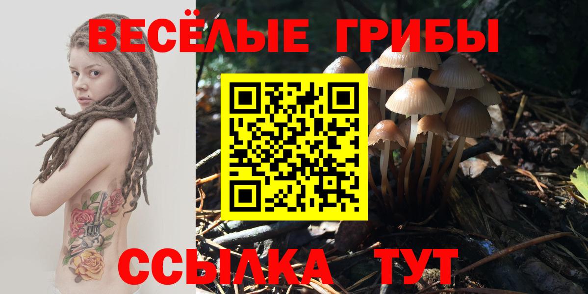 Галлюциногенные грибы Cubensis  Вход с VPN  где купить   Радужный 