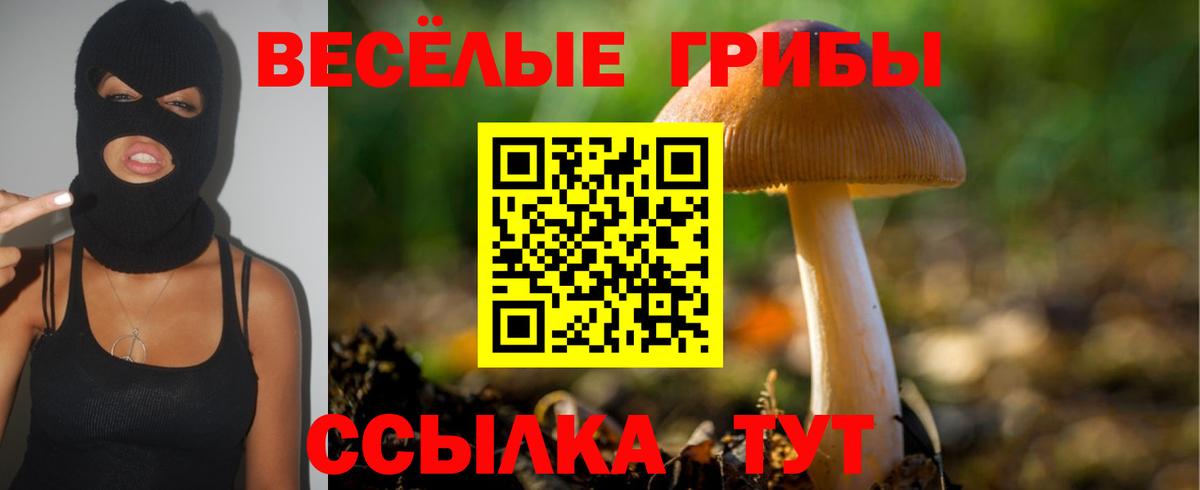 Псилоцибиновые грибы Psilocybe Радужный
